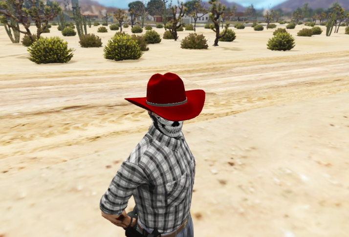 X1S Stetson Cowboy Hat #7