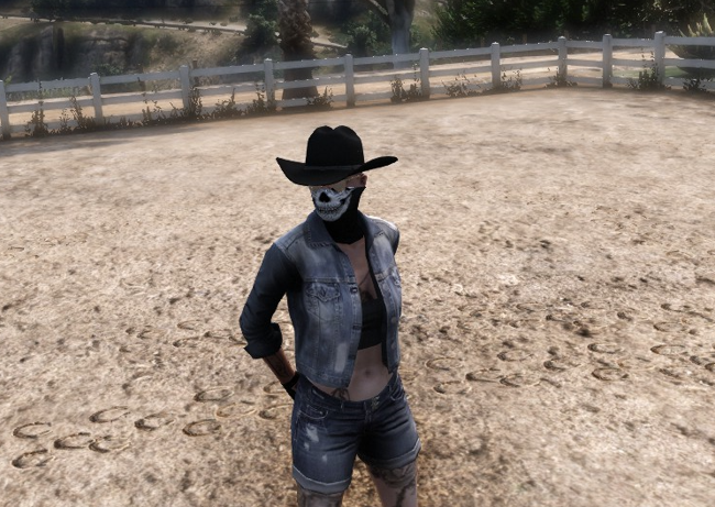 X1S Stetson Cowboy Hat #8