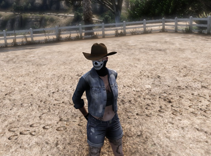 X1S Stetson Cowboy Hat #9