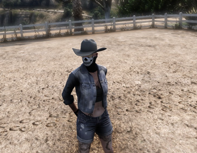 X1S Stetson Cowboy Hat #10