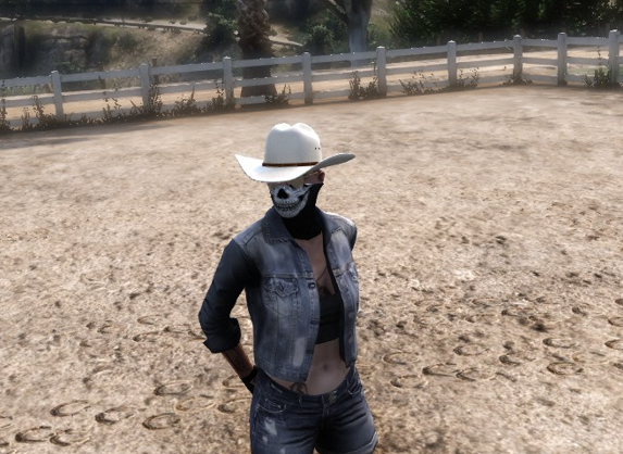 X1S Stetson Cowboy Hat #11