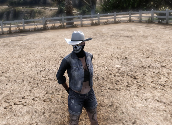 X1S Stetson Cowboy Hat #12