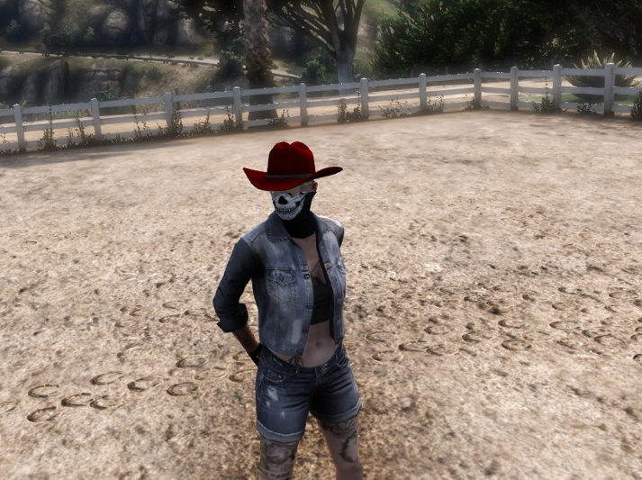 X1S Stetson Cowboy Hat #13
