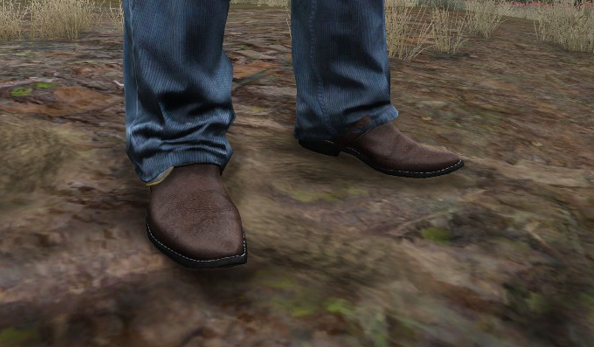 X1S Cowboy Boots #5