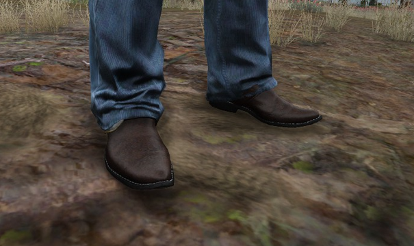 X1S Cowboy Boots #6