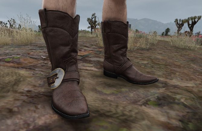 X1S Cowboy Boots #10