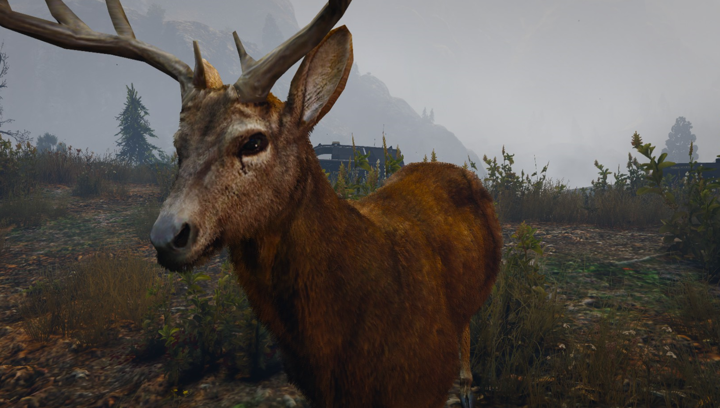 X1S Fish And Wildlife EUP #15