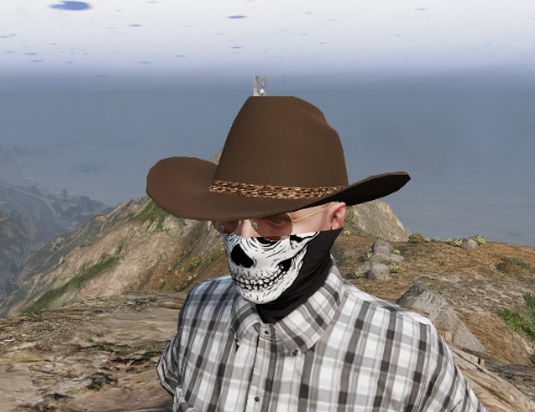 X1S Cowboy Hats (Replace) #2