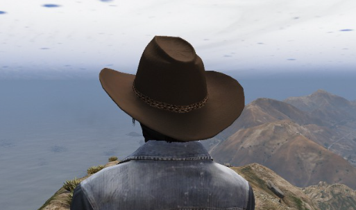 X1S Cowboy Hats (Replace) #4