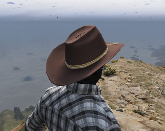 X1S Cowboy Hats (Replace) #8