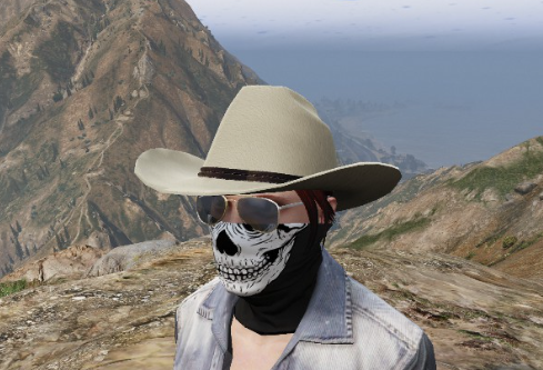 X1S Cowboy Hats (Replace) #9