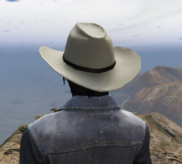 X1S Cowboy Hats (Replace) #10
