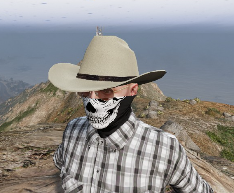 X1S Cowboy Hats (Replace) #14