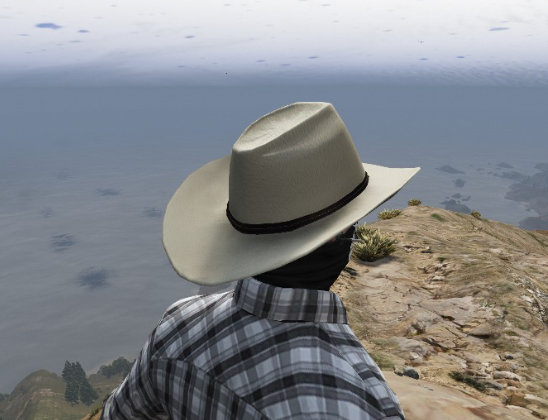 X1S Cowboy Hats (Replace) #15